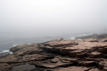 Foggy morning during Ocean Path hike, Acadia National Park, Bar Harbor,Maine, USA.