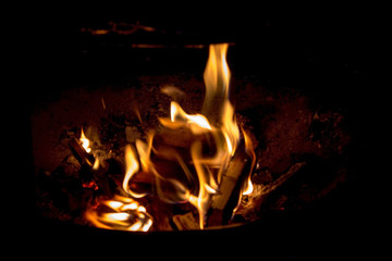Fire flames and red-hot wooden logs (4)