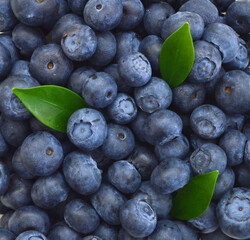 blueberries