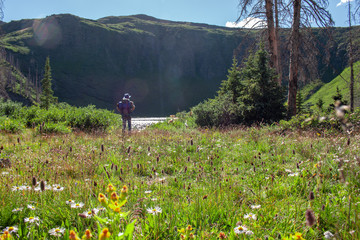 Distant hiker with large backpack stands in meadow with wildflowers near an alpine lake called...