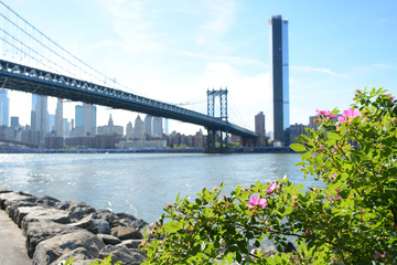 Brooklyn, USA - June 09, 2019: Relaxing place Brooklyn Bridge Park with beautiful panoramic view to Manhattan