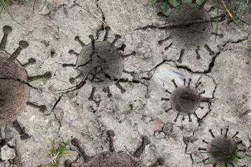Old stone and rock textures with some virus fossil virus visualization