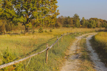 Fototapeta premium path in the field. wooden rustic fence