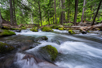 Cold Spring Creek, Mt. Hood, Oregon