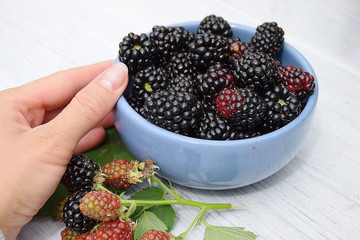 Plate of ripe blackberries on white wooden background