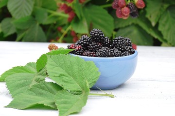 Plate of ripe blackberries on white wooden background