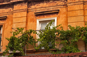 Fototapeta na wymiar Old vintage dacayed neglected building facade closeup in cloudy day