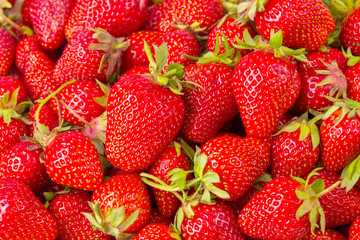 Ripe strawberries ready for eating in wooden boxes. Red ripe strawberries closeup. Selective focus. You can use as the background for any of Your project.