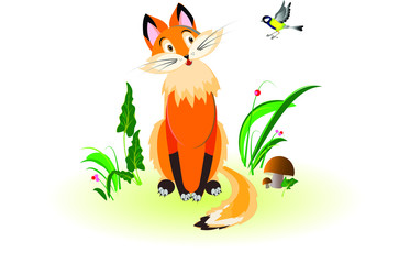 A red fox cub sits in a meadow with grass and mushrooms and looks in surprise at a bird titmouse that has flown too close. Vector drawing for design.