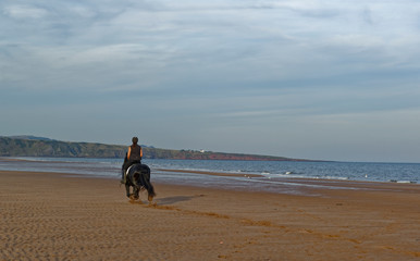 A female Horse Rider and her Black Horse cantering down the deserted beach at St Cyrus at low tide on a warm sunny September evening.