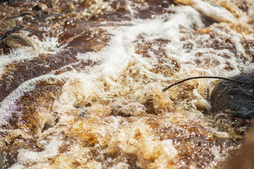 Mountain small river water stream landscape. Wild rill stream rocks flowing. Downpour stream.