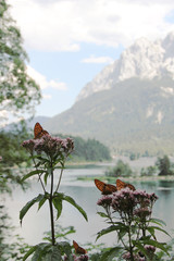 Highest Mountain of Germany