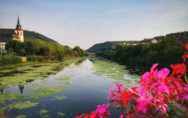 Blick auf die Nahe - Bingen am Rhein