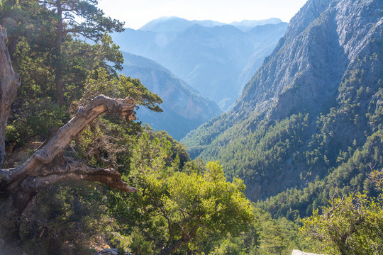 Samaria Schlucht auf Kreta