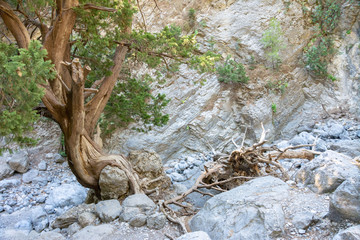 Samaria Schlucht auf Kreta