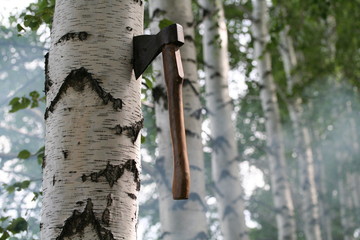 ax in the forest