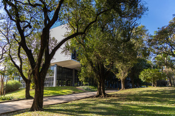 Parque do Ibirapuera em São Paulo, Brasil.  Parte interna do parque com suas exuberantes árvores em um belo entardecer com céu azul. 