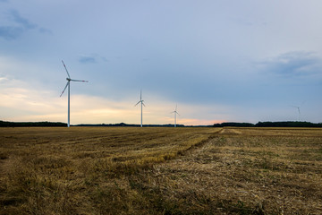 Fototapeta premium Windmills on a harvested grain field