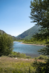 Fototapeta na wymiar The North Fork of the Flathead River in the Flathead National Forest of Montana during summer