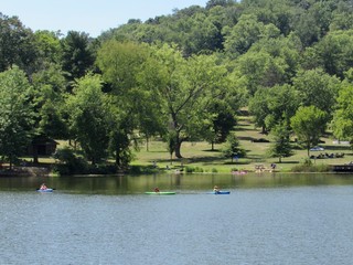 lake in the park