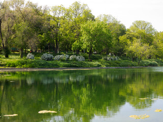 Authentic landscape polluted pond in city Park. Sewage drains into the river, the sea, the lake. Environmental pollution. Wastewater, ecological catastrophe