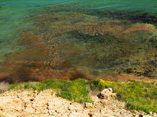 Authentic landscape of polluted sea water. Sewage drains into the river, the sea, the lake....