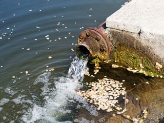 Sewage drains into the river, the sea, the lake. Environmental pollution. Wastewater, ecological...