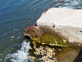 Sewage drains into the river, the sea, the lake. Environmental pollution. Wastewater, ecological...