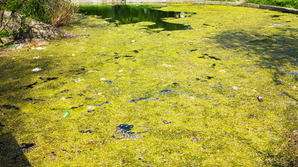 Sewage drains into the river, the sea, the lake. Environmental pollution. Wastewater, ecological catastrophe