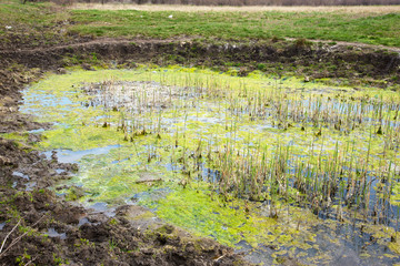 Sewage drains into the river, the sea, the lake. Environmental pollution. Wastewater, ecological catastrophe