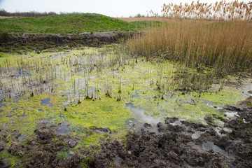 Sewage drains into the river, the sea, the lake. Environmental pollution. Wastewater, ecological catastrophe