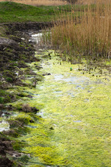 Sewage drains into the river, the sea, the lake. Environmental pollution. Wastewater, ecological...