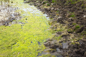 Sewage drains into the river, the sea, the lake. Environmental pollution. Wastewater, ecological catastrophe