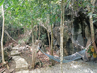 Swing rest made from ropes hanging in tree trunk