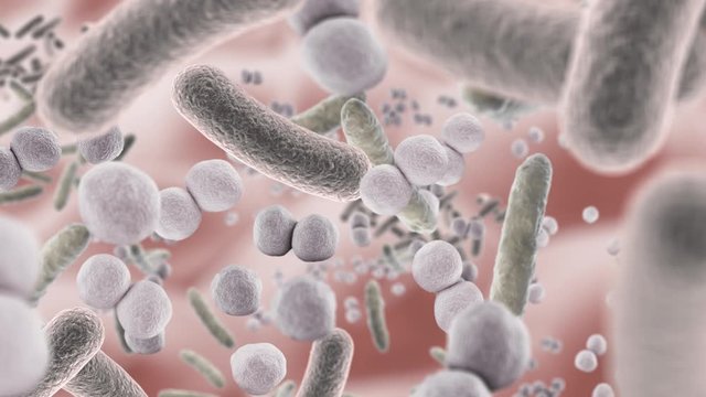 Healthy microbiome turns into unhealthy microbiome in 3D animation