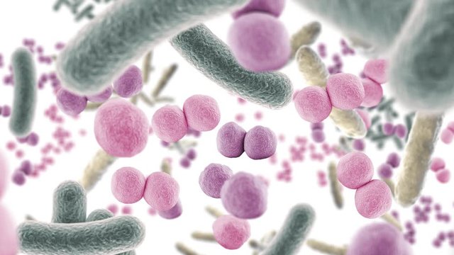 Animation floating through good microbes in the intestine, healthy microbiome