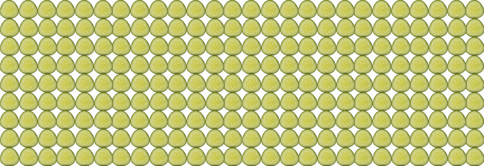 Widescreen texture from slices of cucumber stacked side by side