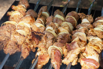 Grilled kebab cooking on metal skewer. Roasted meat cooked at barbecue.Traditional eastern dish, shish kebab. Grill on charcoal and flame, picnic, street food