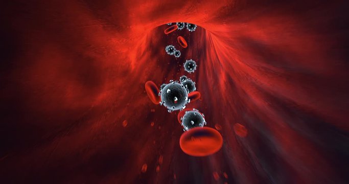 Viruses And Red Blood Cells Flowing Inside Of Human Vein. Infected Human. Perfect Loop. Science And Health Related High Quality 3D Animation.