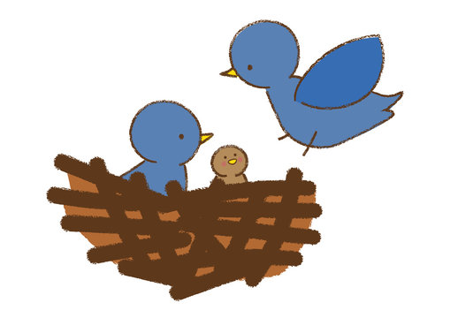 鳥の巣 Images Browse 529 Stock Photos Vectors And Video Adobe Stock