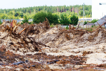 Deforestation. Uprooting of roots of trees. Chaotic deforestation in country with small economy leads to baldness and climatic natural disasters. Destruction of forest to illegal mining of amber.