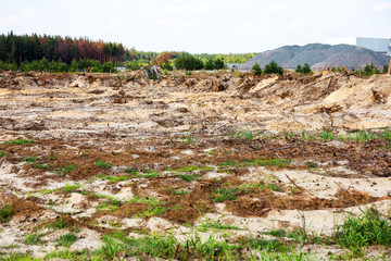 Deforestation. Uprooting of roots of trees. Chaotic deforestation in country with small economy...