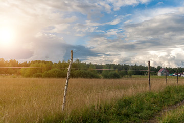 Fototapeta premium fenced field and forest, private farmland