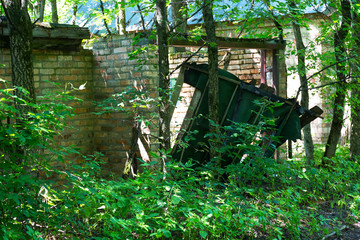 Chernobyl radioactive contamination. Overgrown of plants streets of towns and villages in Chernobyl...