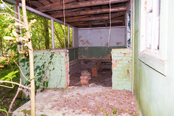 Chernobyl radioactive contamination. Overgrown of plants streets of towns and villages in Chernobyl...