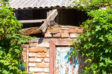 Chernobyl radioactive contamination. Overgrown of plants streets of towns and villages in Chernobyl...
