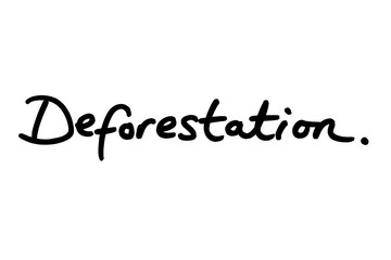Deforestation