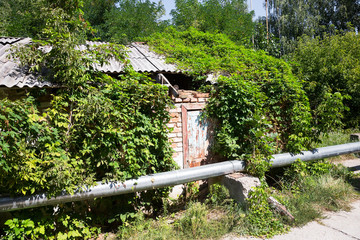 Abandoned city Chernobyl radioactive contamination. Overgrown trees and plants of streets of towns...