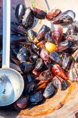Steamed mussels in white wine sauce