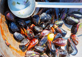 Steamed mussels in white wine sauce